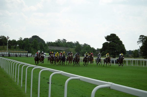 York-Racecourse-004