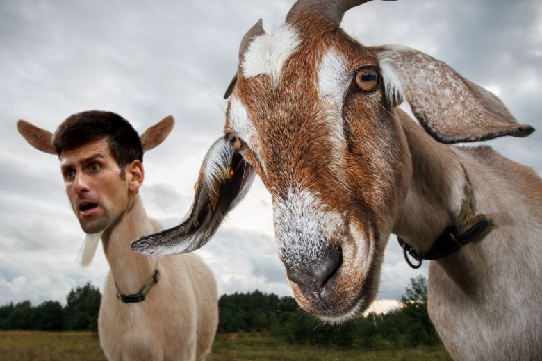 Novak Djokovic goat 4