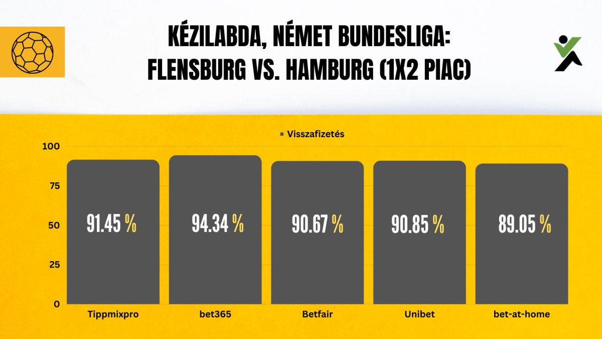 Kézilabda - Német Bundesliga - Flensburg vs. Hamburg (1X2 piac visszafizetési ráta)